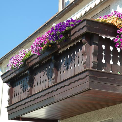 Kwiaty na balkon Kraków
